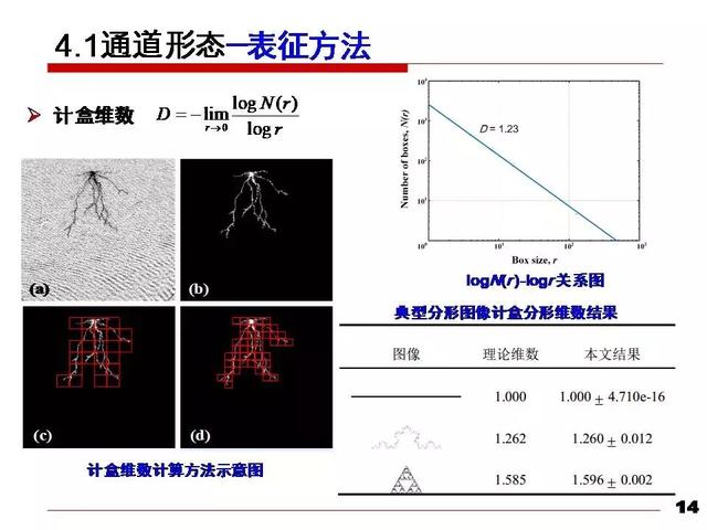 華北電力大學(xué)黃猛：納米變壓器油中的流注發(fā)展速度和通道形態(tài)研究