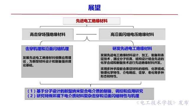 西安交大李盛濤教授：絕緣破壞僅考慮空間電荷，夠嗎？