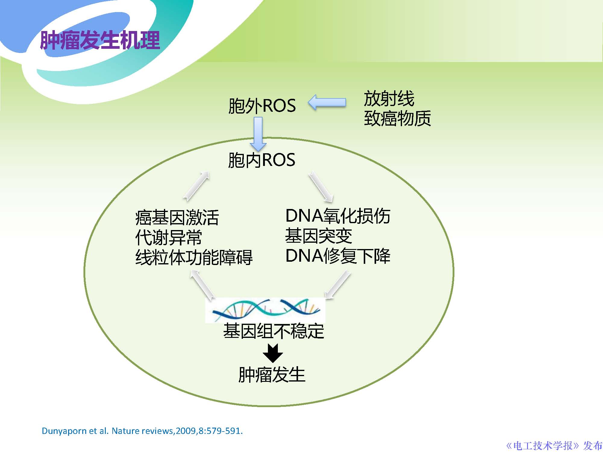 西安交通大學許德暉副教授：等離子體技術治療癌癥的最新研究進展