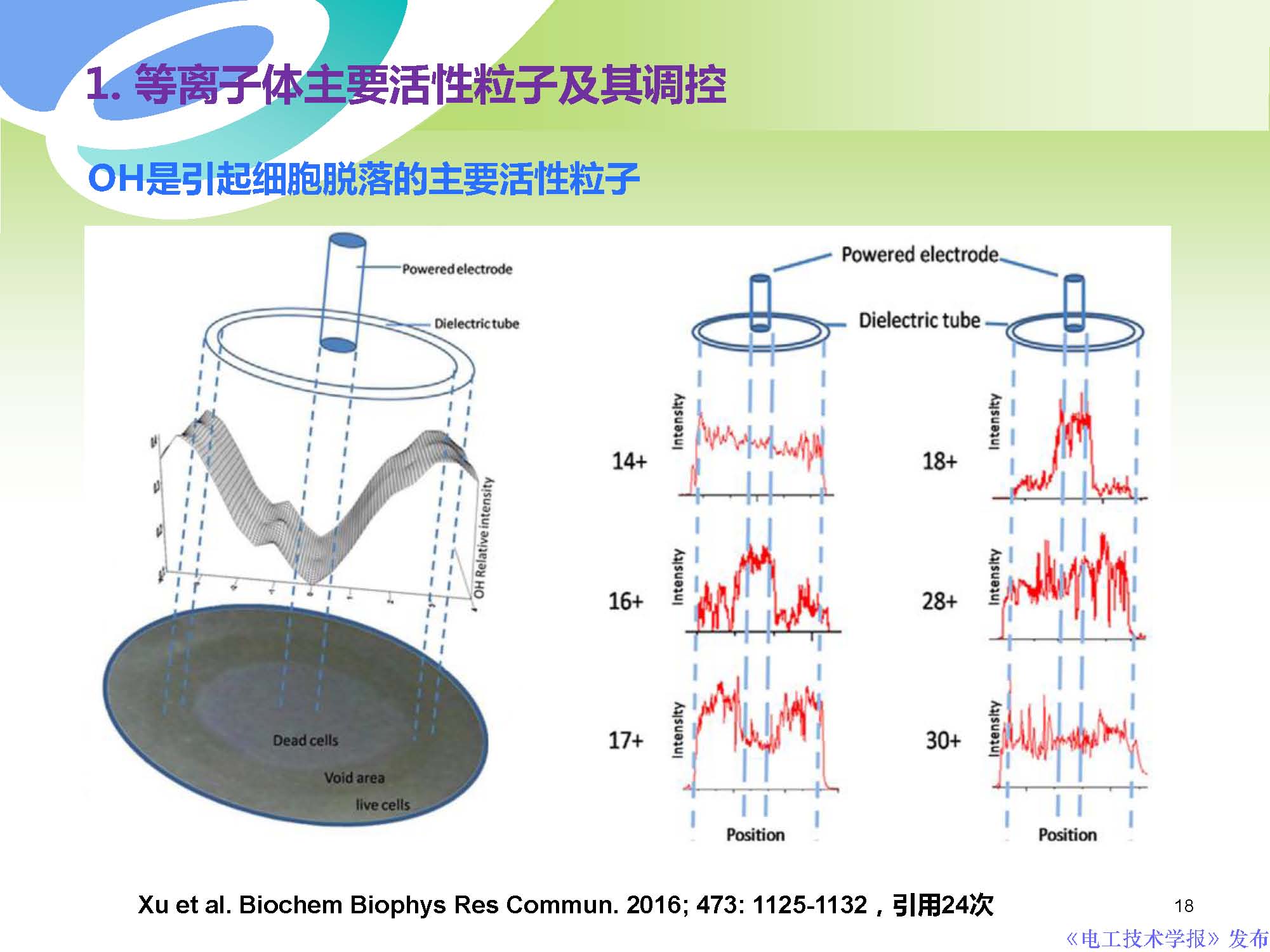 西安交通大學許德暉副教授：等離子體技術治療癌癥的最新研究進展