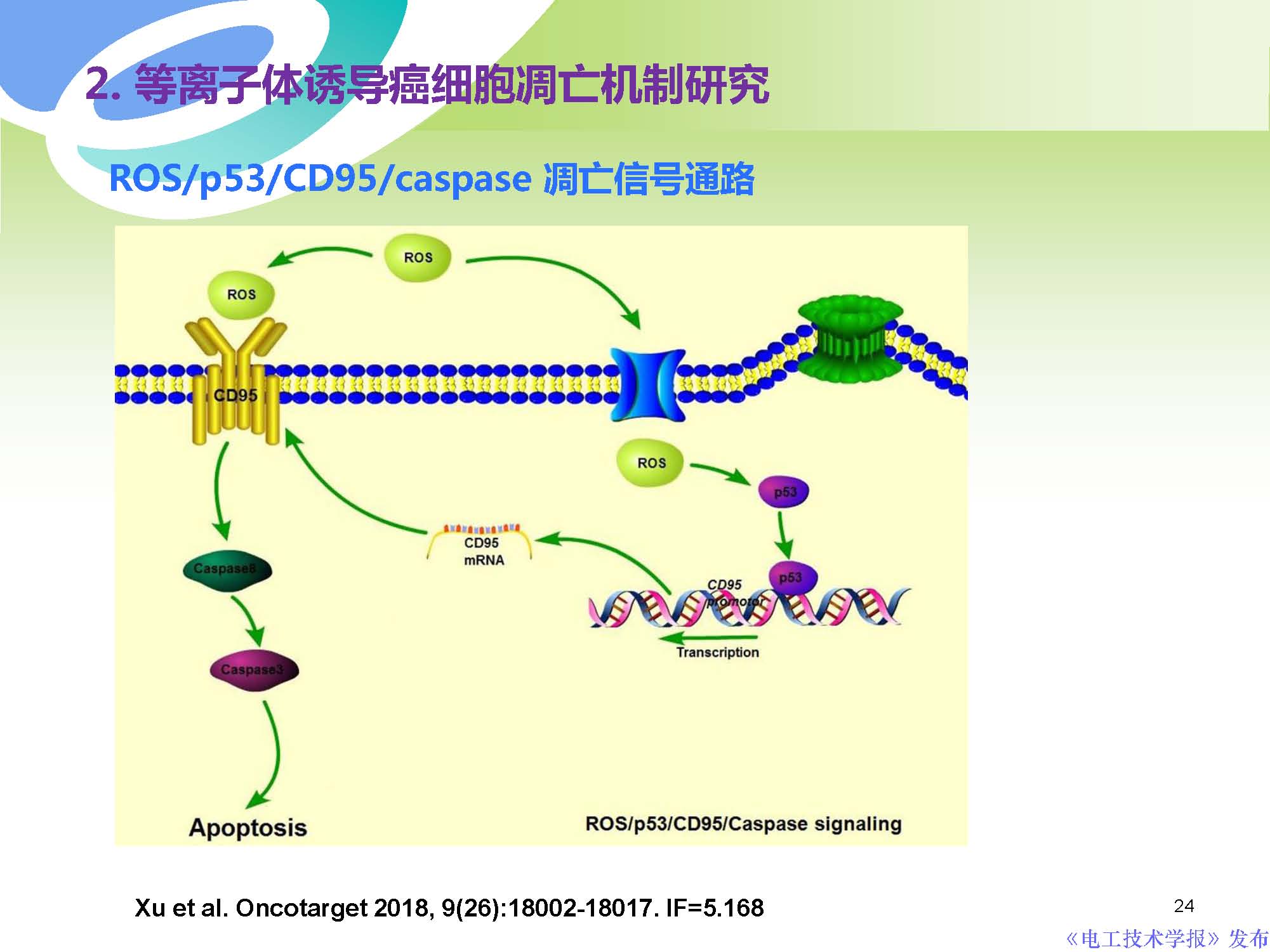 西安交通大學許德暉副教授：等離子體技術治療癌癥的最新研究進展