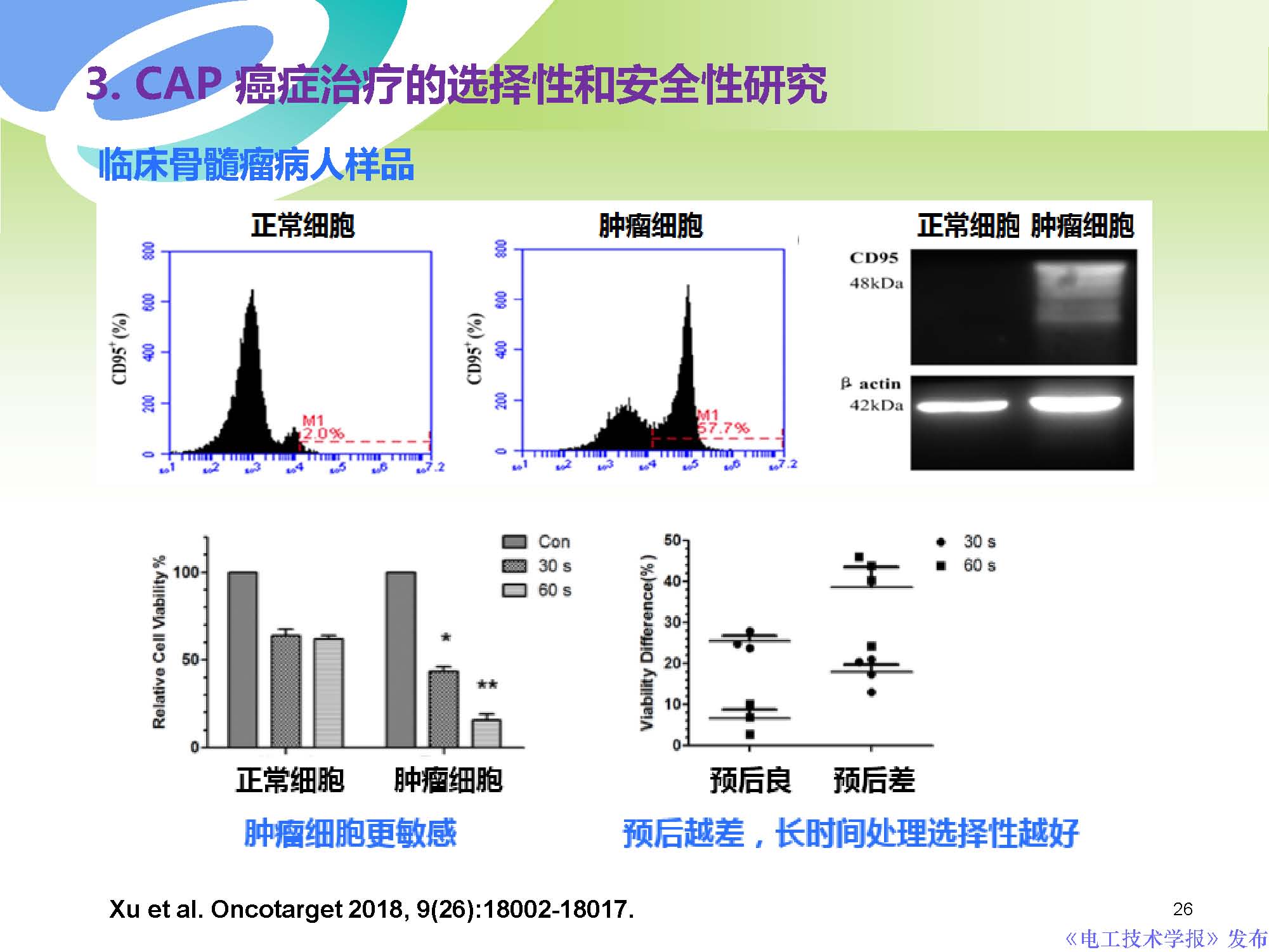 西安交通大學許德暉副教授：等離子體技術治療癌癥的最新研究進展