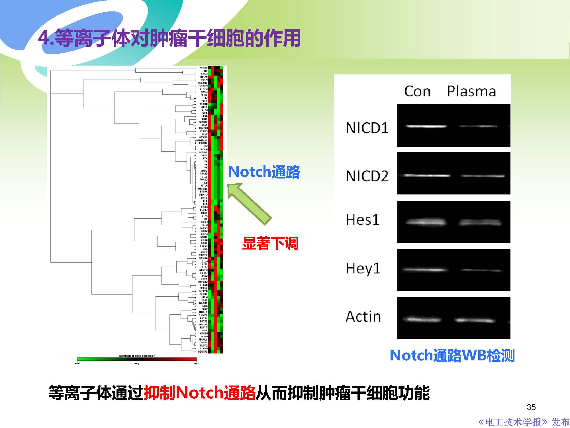 西安交通大學許德暉副教授：等離子體技術治療癌癥的最新研究進展