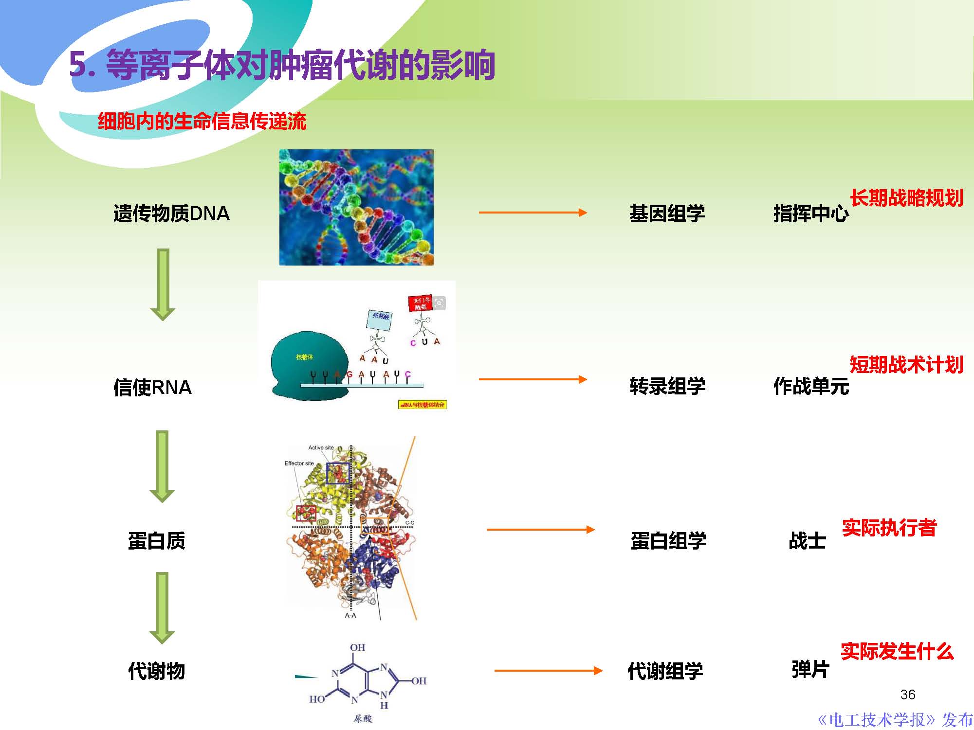 西安交通大學許德暉副教授：等離子體技術治療癌癥的最新研究進展