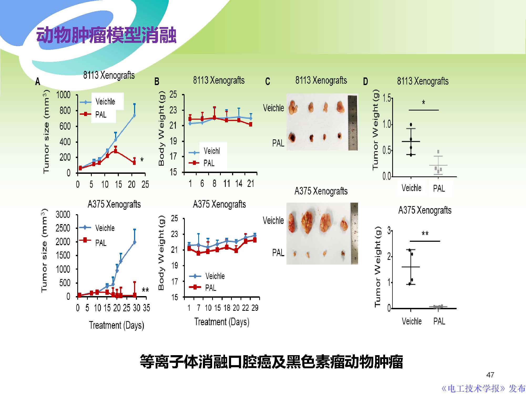 西安交通大學許德暉副教授：等離子體技術治療癌癥的最新研究進展