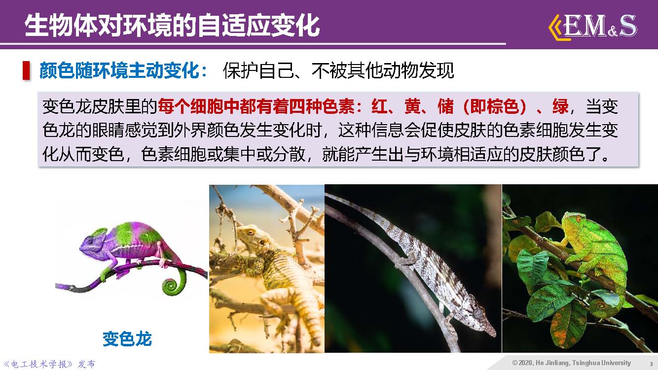 清華大學(xué)何金良教授：智能絕緣材料