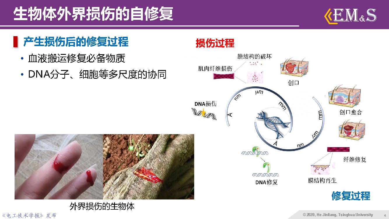 清華大學(xué)何金良教授：智能絕緣材料