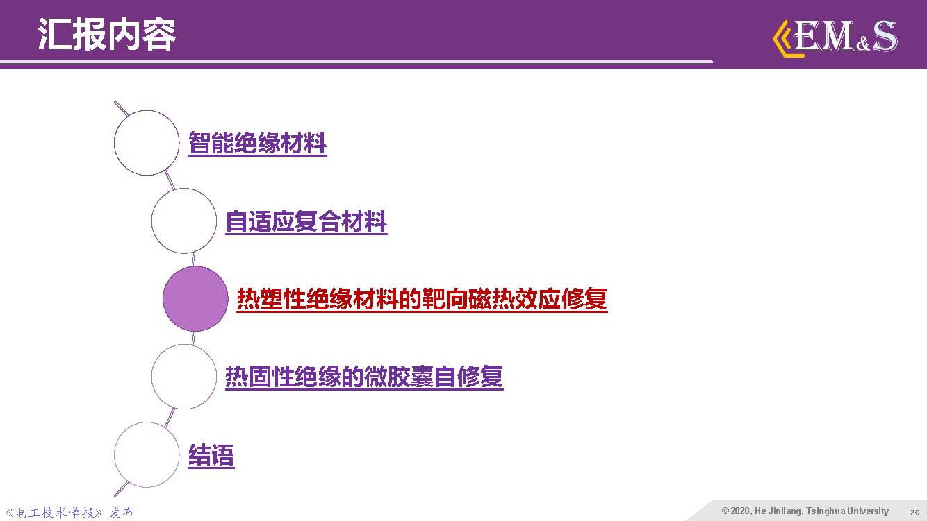 清華大學(xué)何金良教授：智能絕緣材料