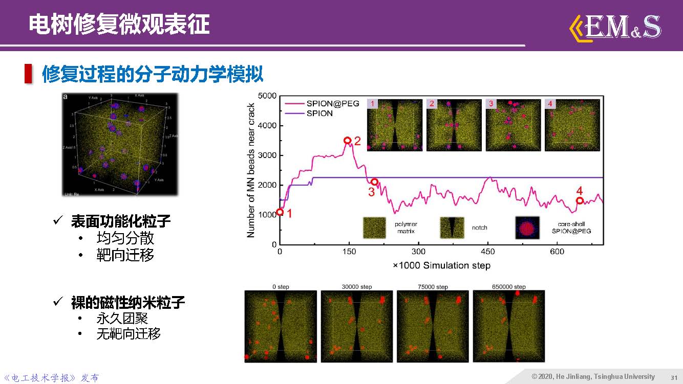 清華大學(xué)何金良教授：智能絕緣材料