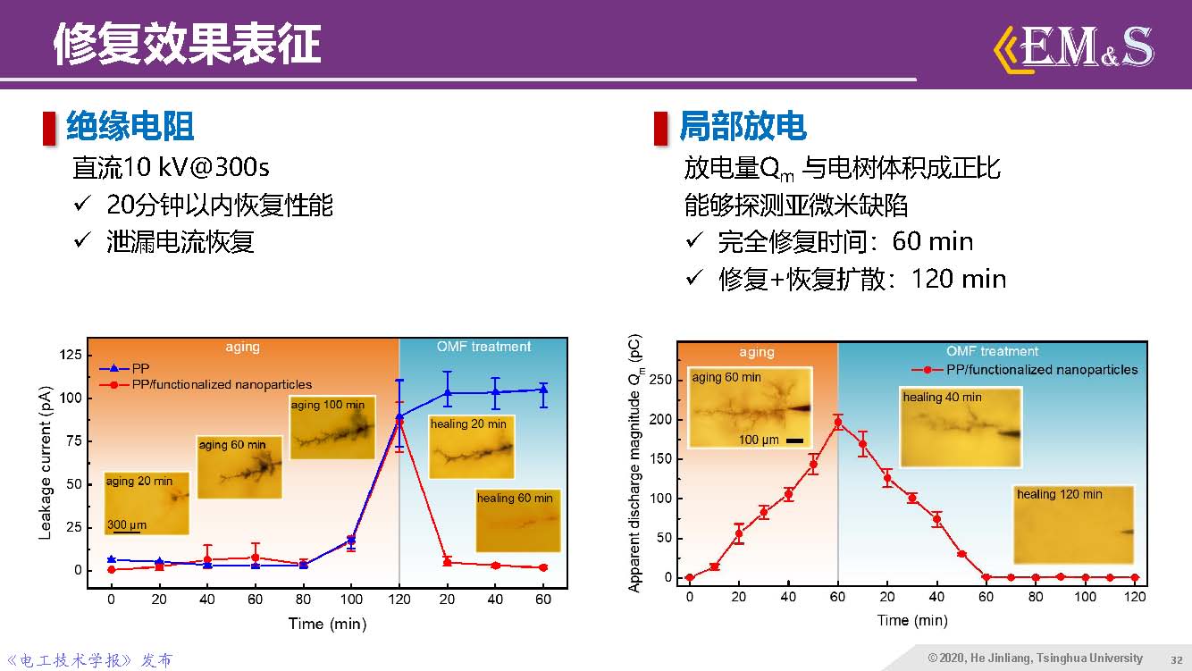 清華大學(xué)何金良教授：智能絕緣材料