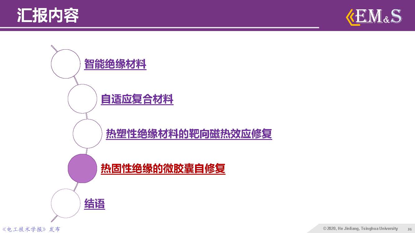 清華大學(xué)何金良教授：智能絕緣材料