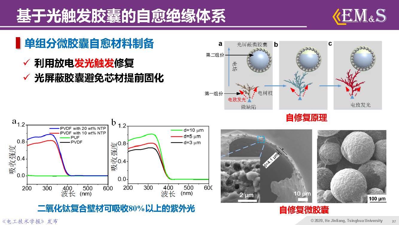 清華大學(xué)何金良教授：智能絕緣材料