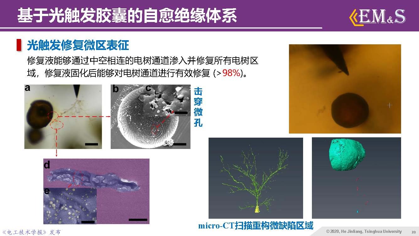 清華大學(xué)何金良教授：智能絕緣材料