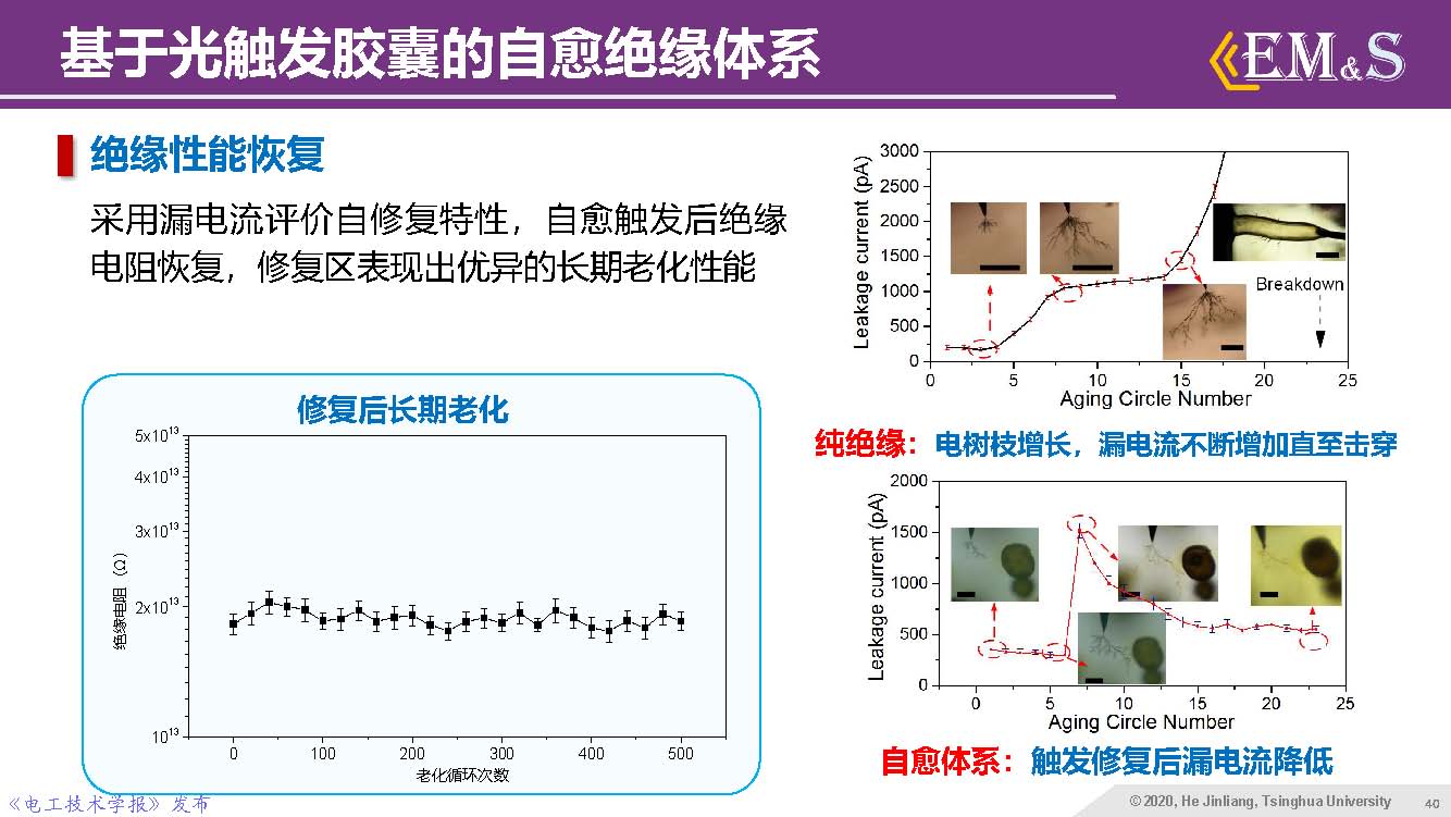 清華大學(xué)何金良教授：智能絕緣材料