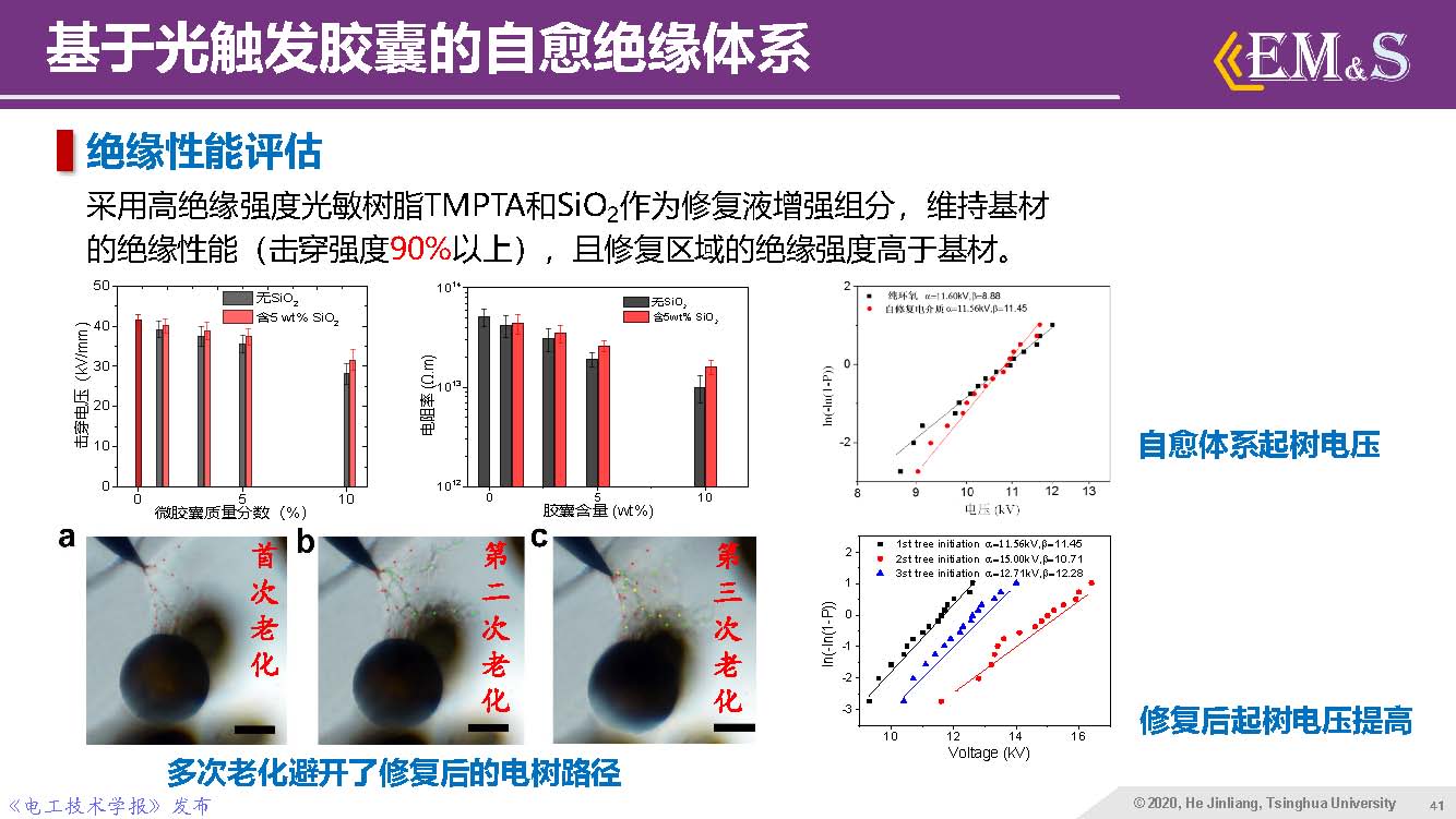 清華大學(xué)何金良教授：智能絕緣材料