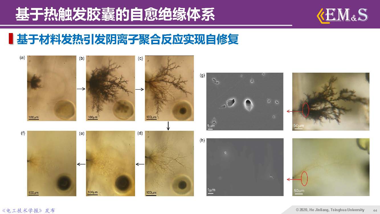 清華大學(xué)何金良教授：智能絕緣材料